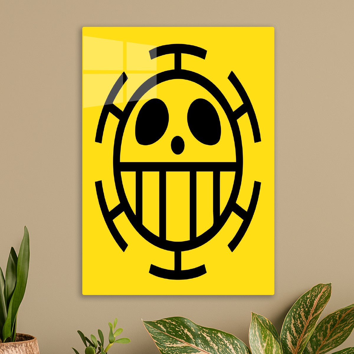 The Jolly Roger of the Heart Pirates, Trafalgar D. Water Law