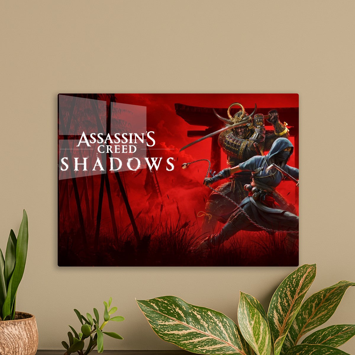Assassin creed 