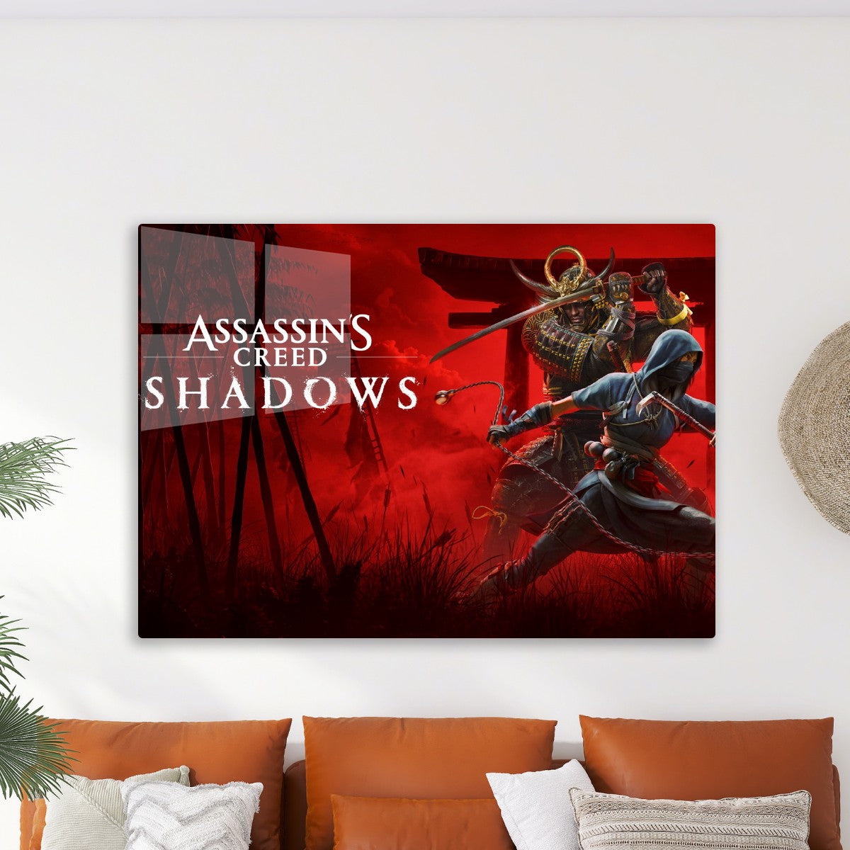 Assassin creed 