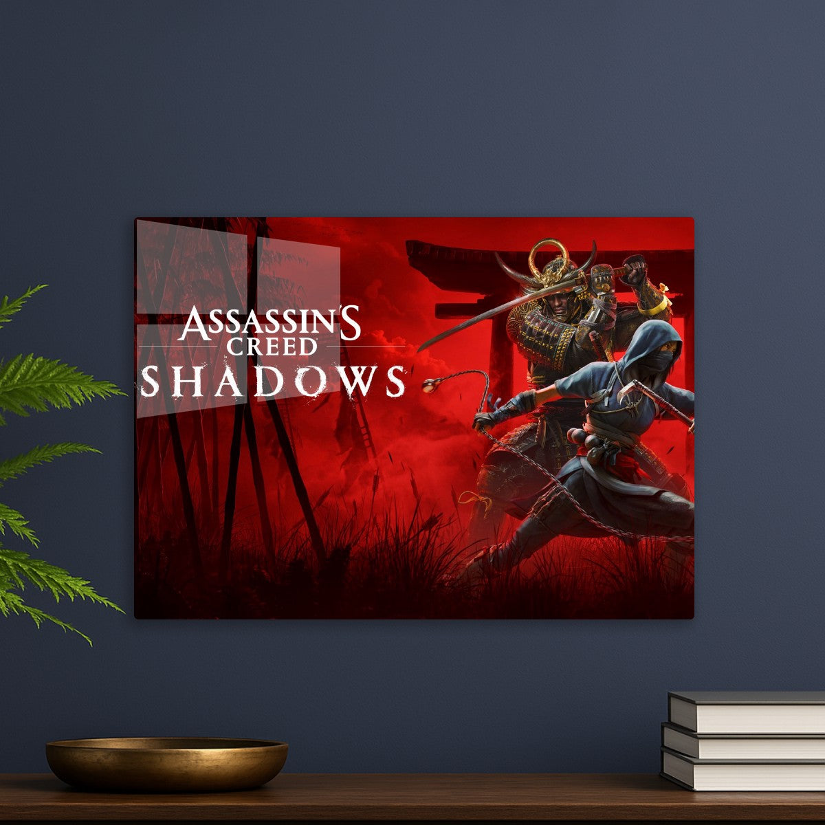 Assassin creed 