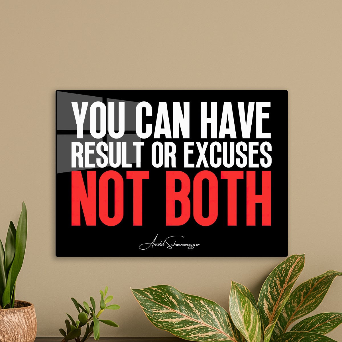 Arnold Schwarzenegger quotes 