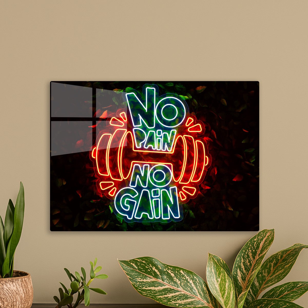 No pain no again 