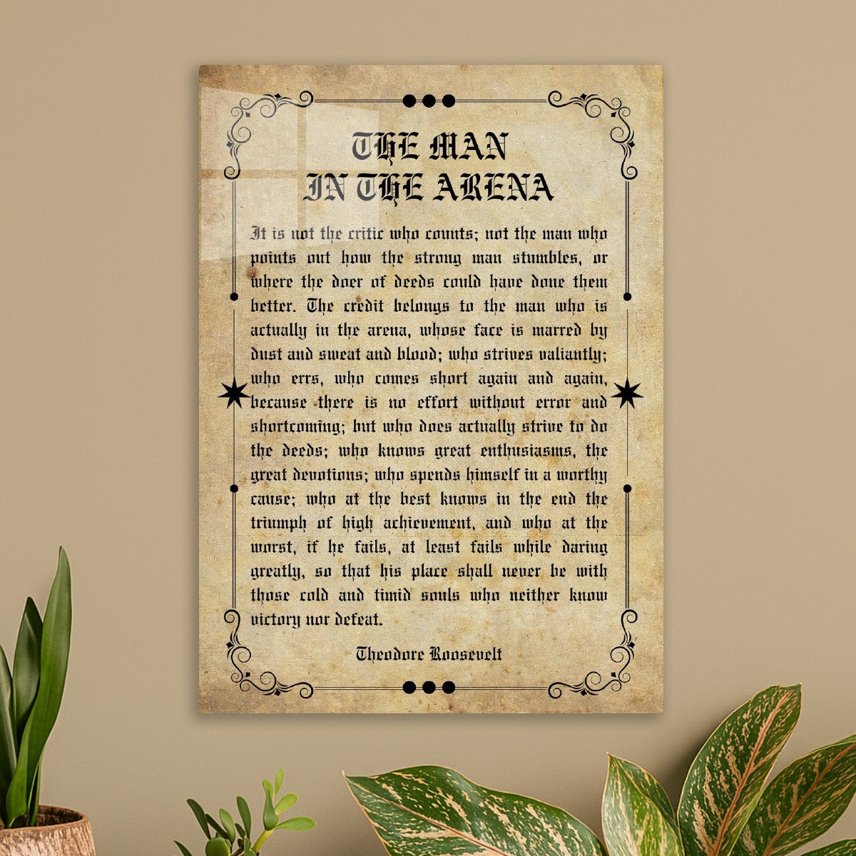 The Man in the Arena