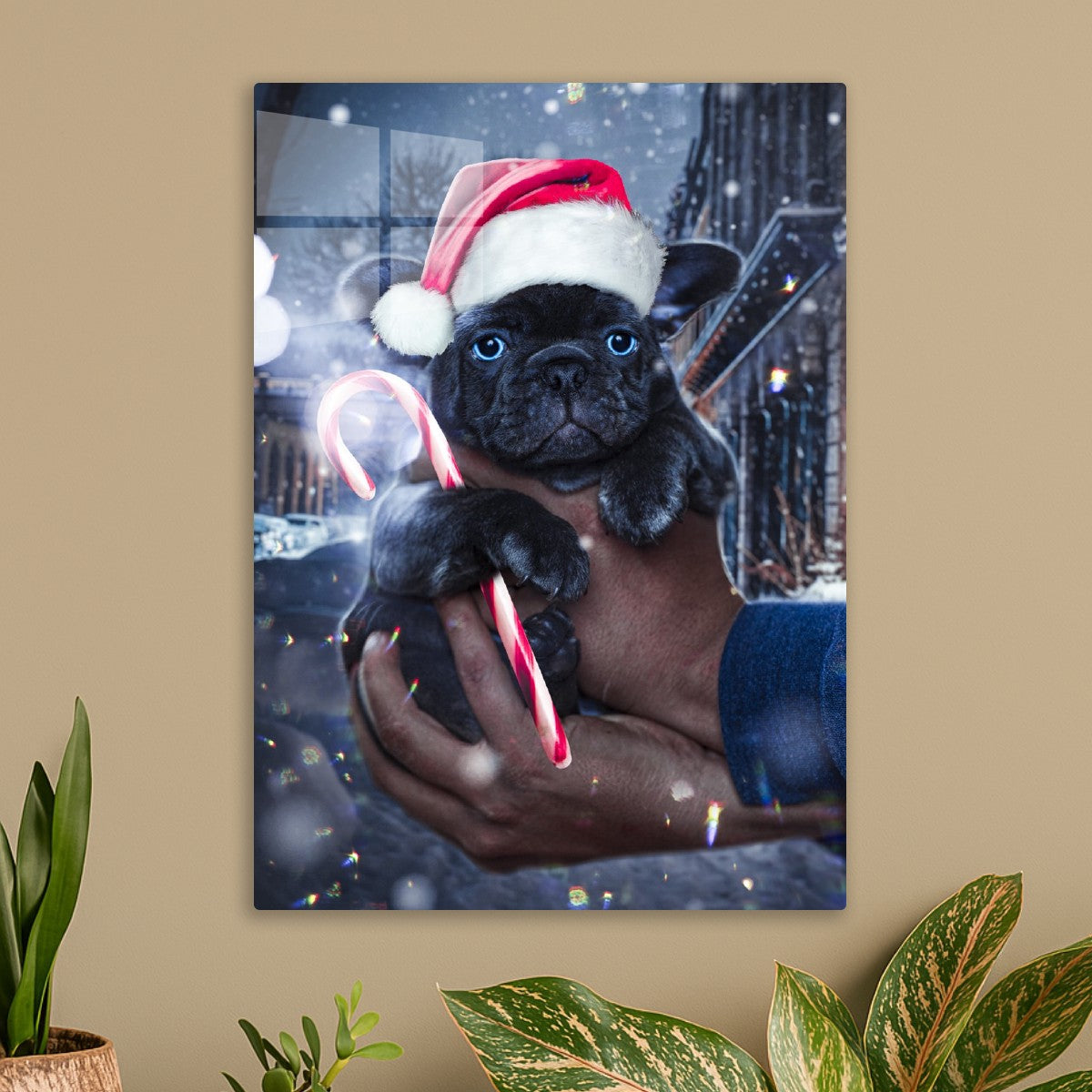 Merry Pups