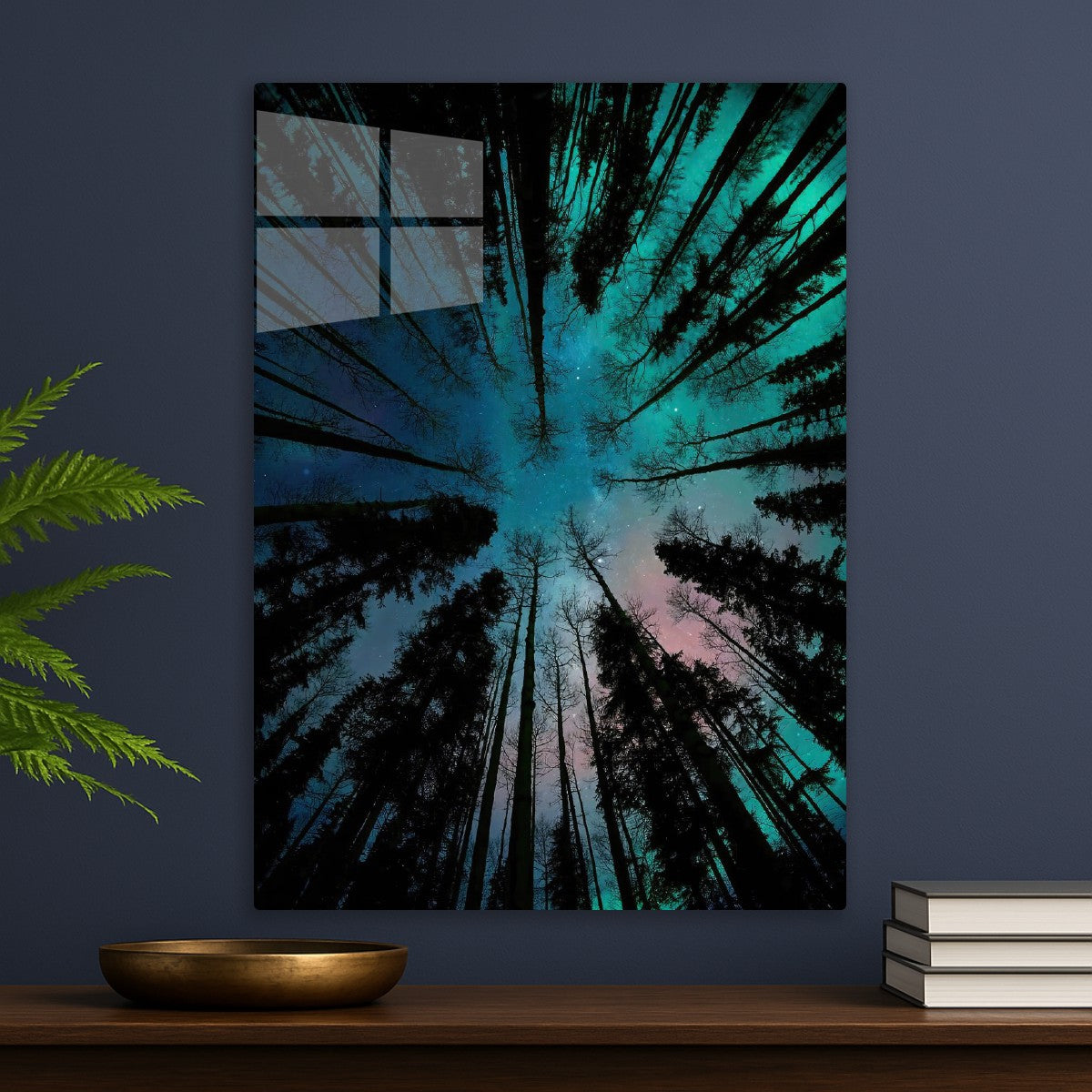 Nocturnal aura tree forest