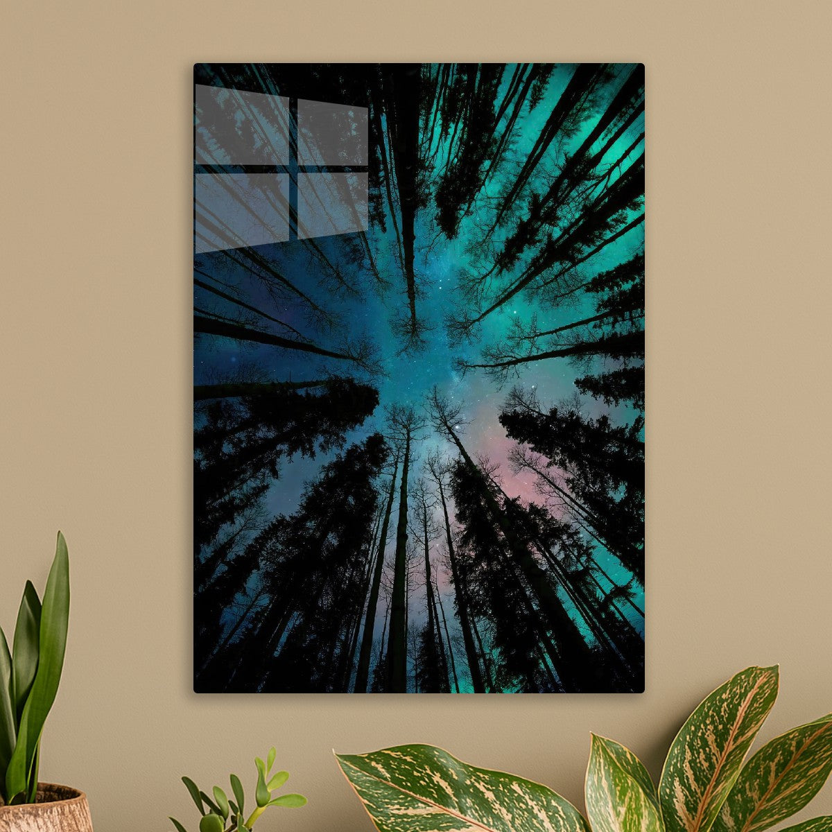 Nocturnal aura tree forest