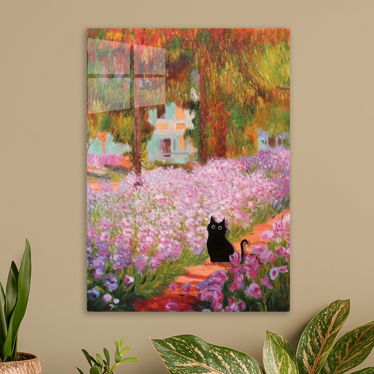 Black cat irises pink