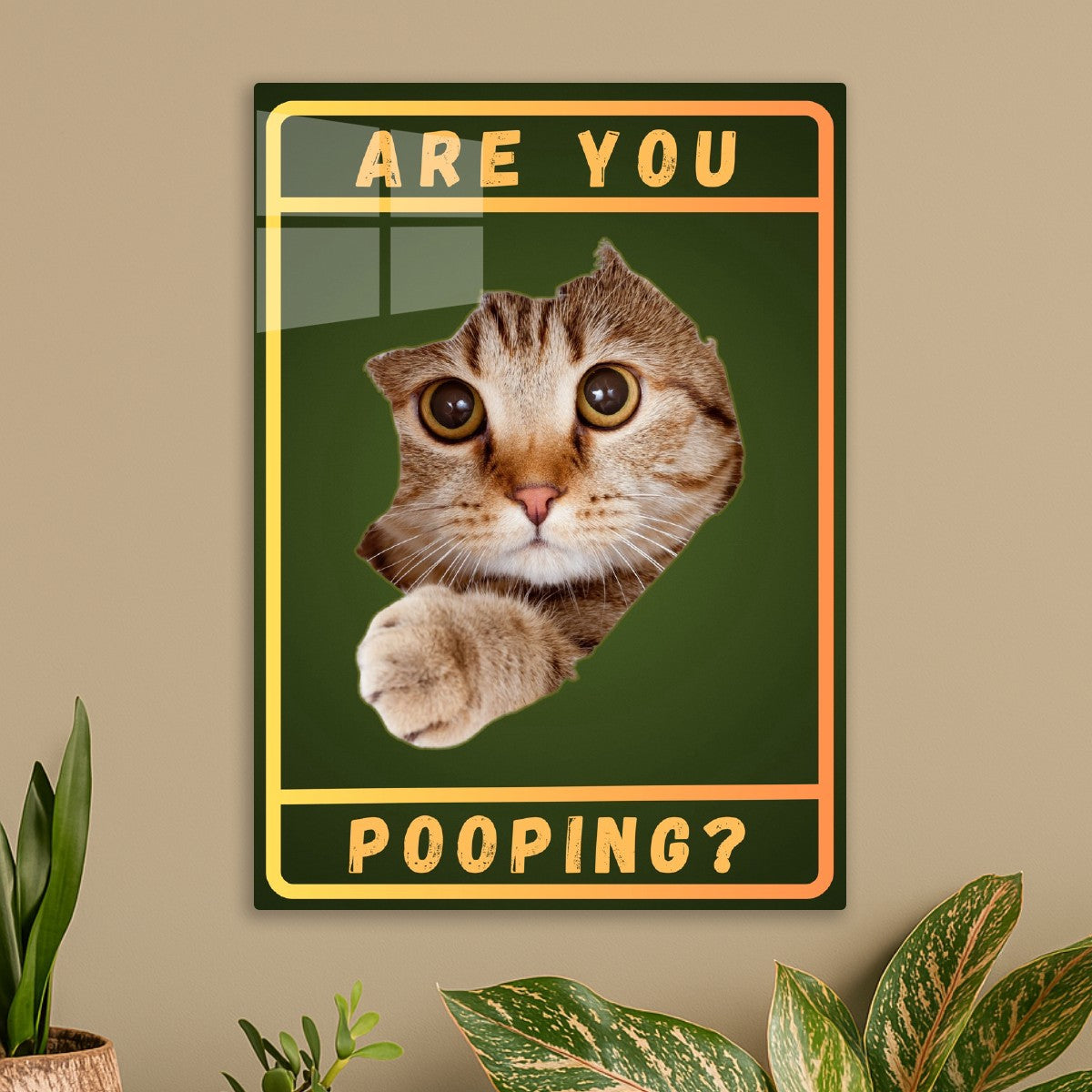 Fat Cat Are You Pooping Famous