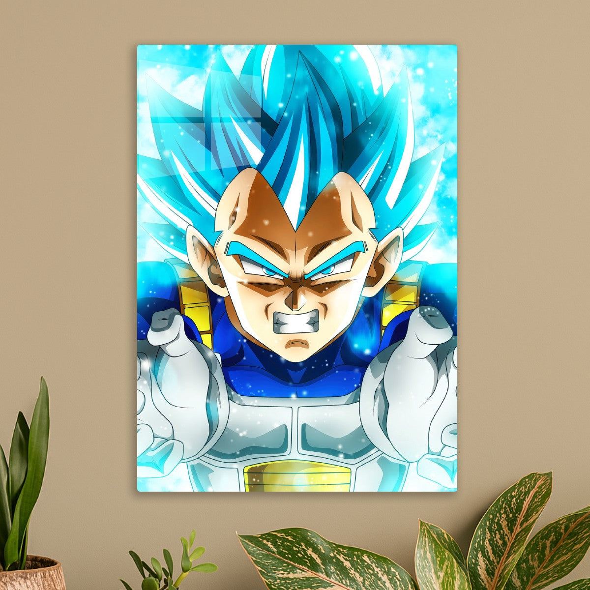Vegeta, Dragon ball