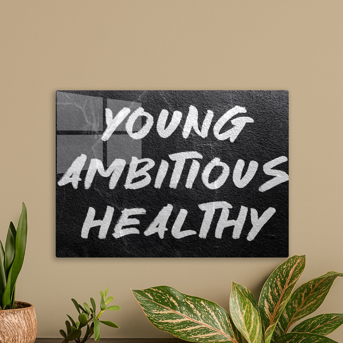 Young Ambitious Healthy