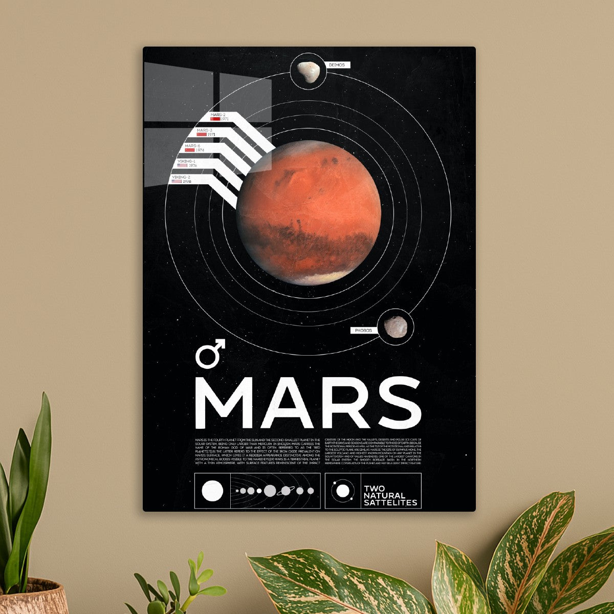 Mars Infographic