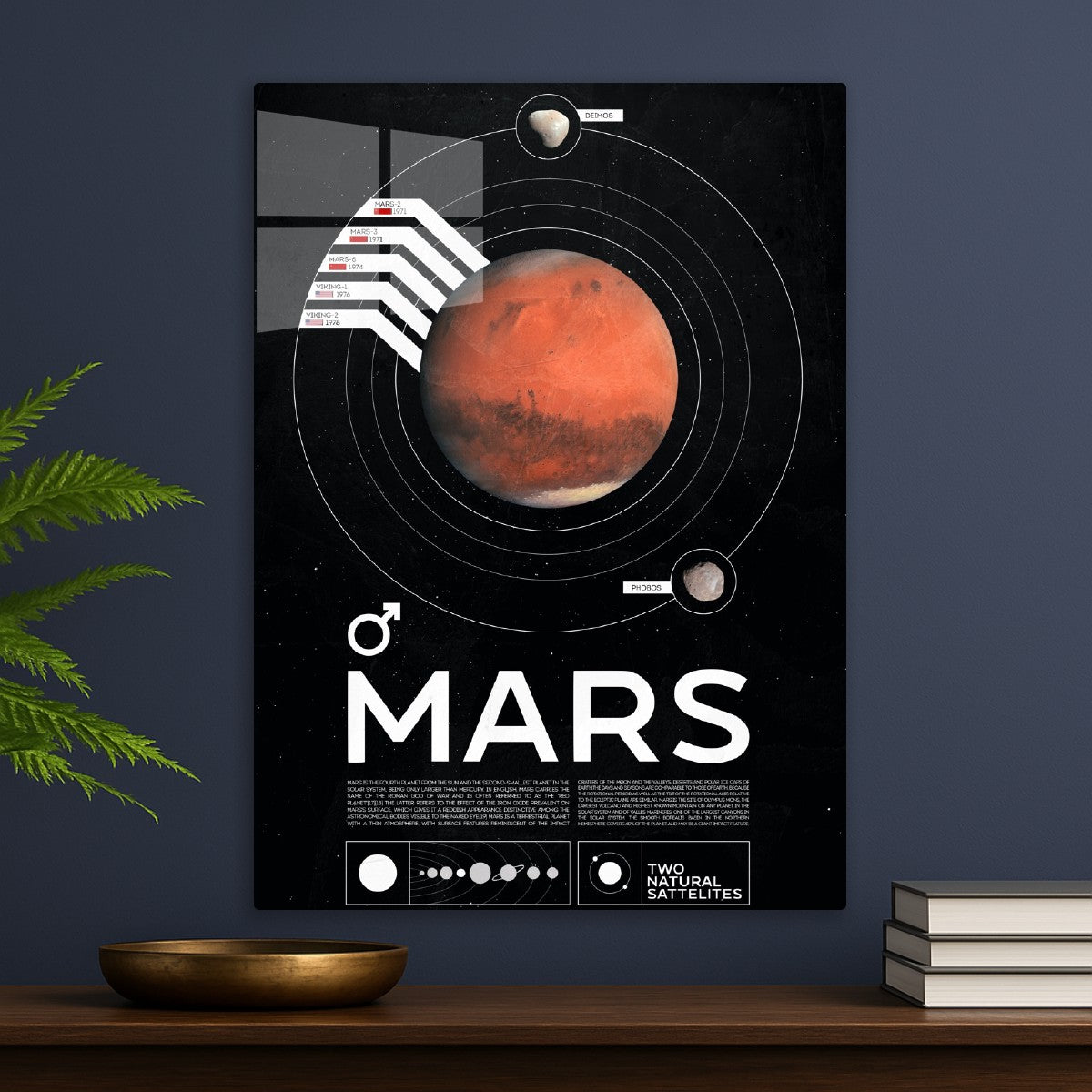 Mars Infographic