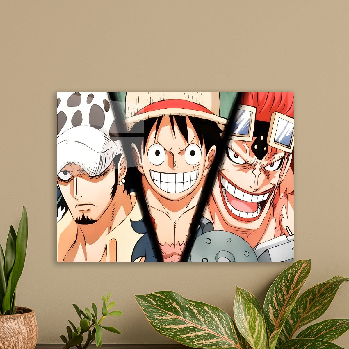 The Supernovas Alliance, One Piece