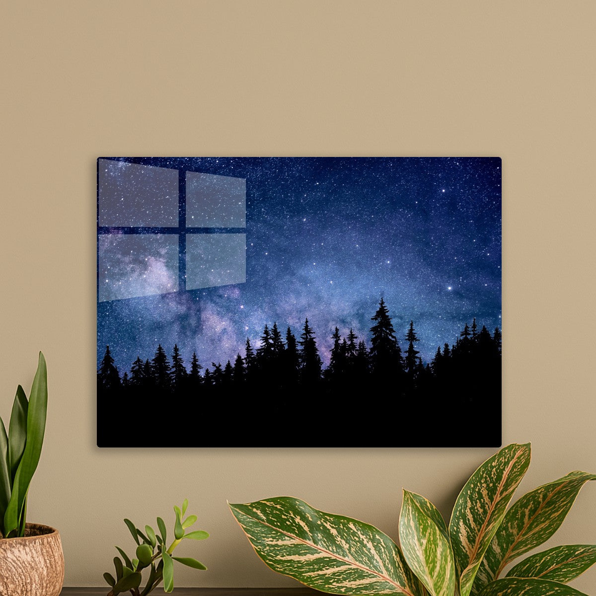 Starry Night Sky