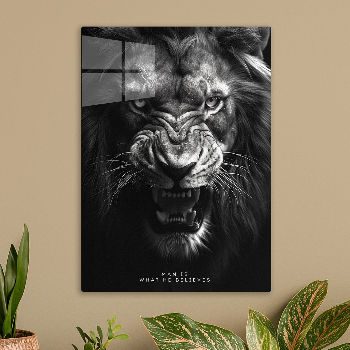 Ferocious Lion Mindset 