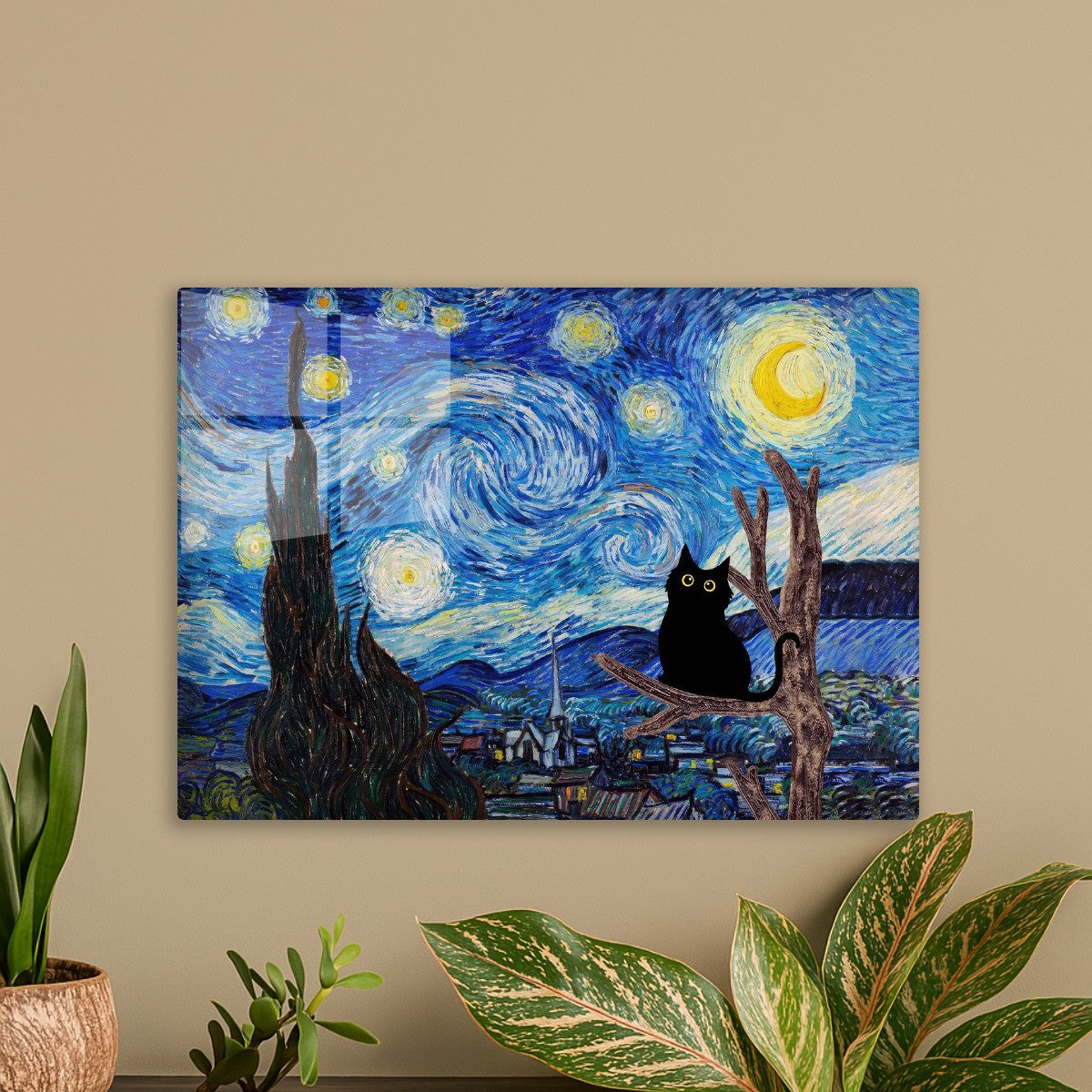Black Fat cat Starry night 