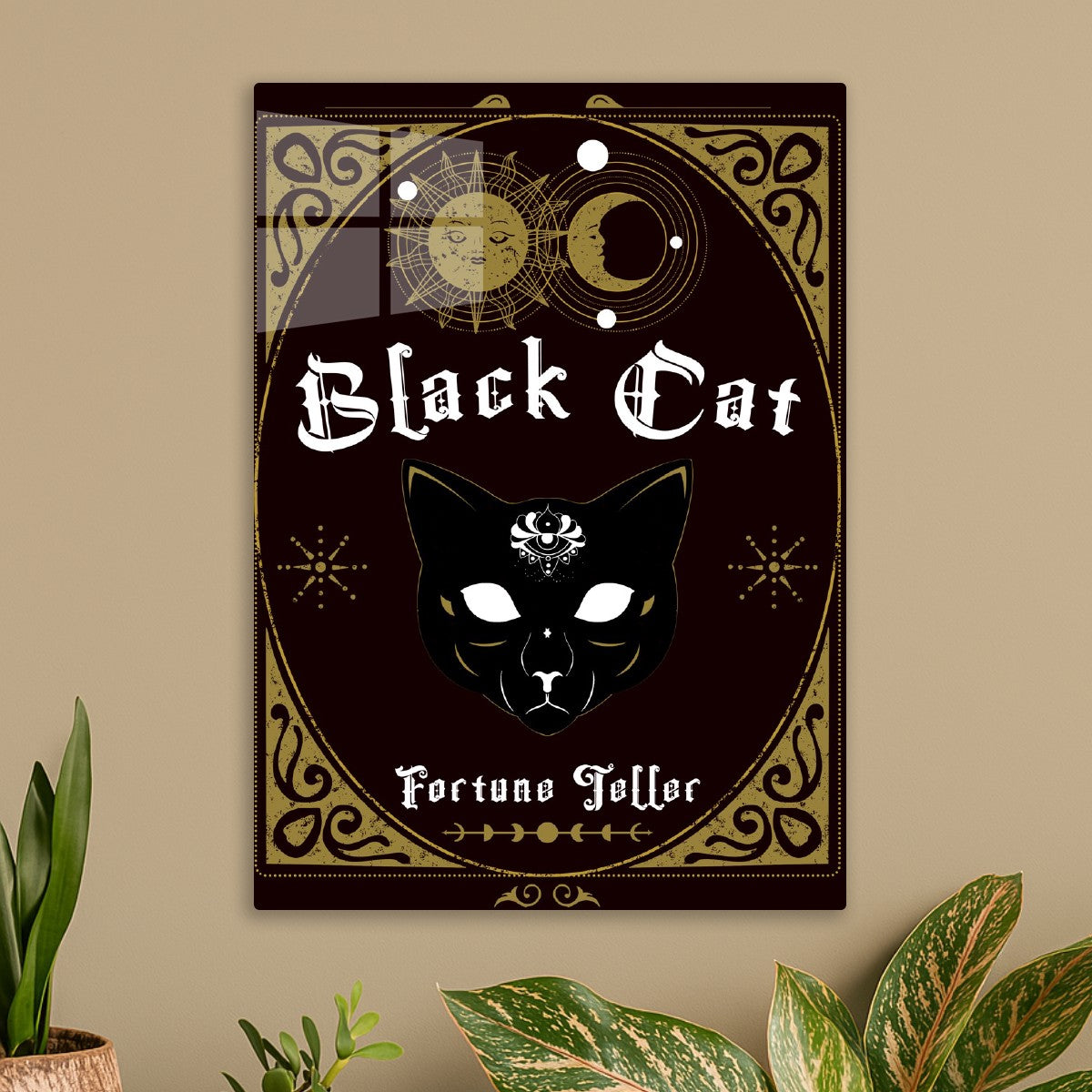 Black Cat Fortune Teller