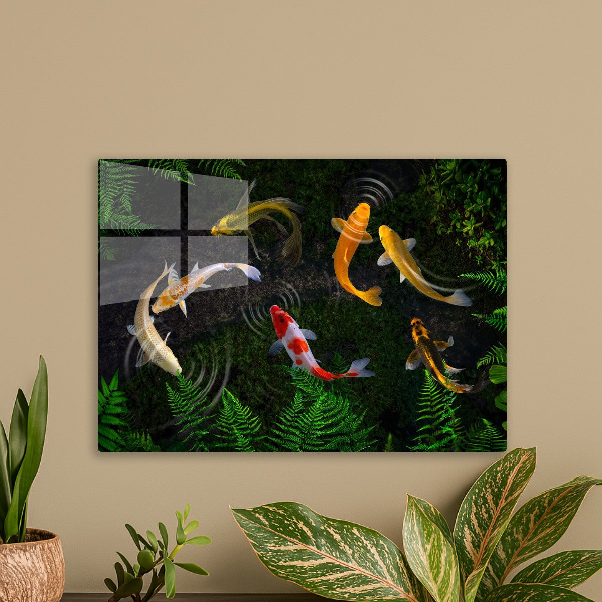 Koi Fishes