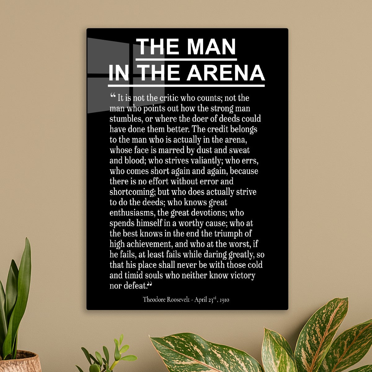 Theodore Roosevelt - The man in the arena 