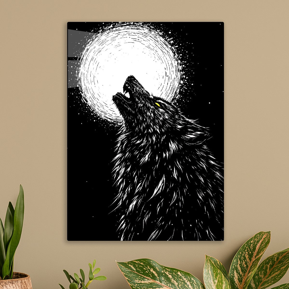 Black and white wolf