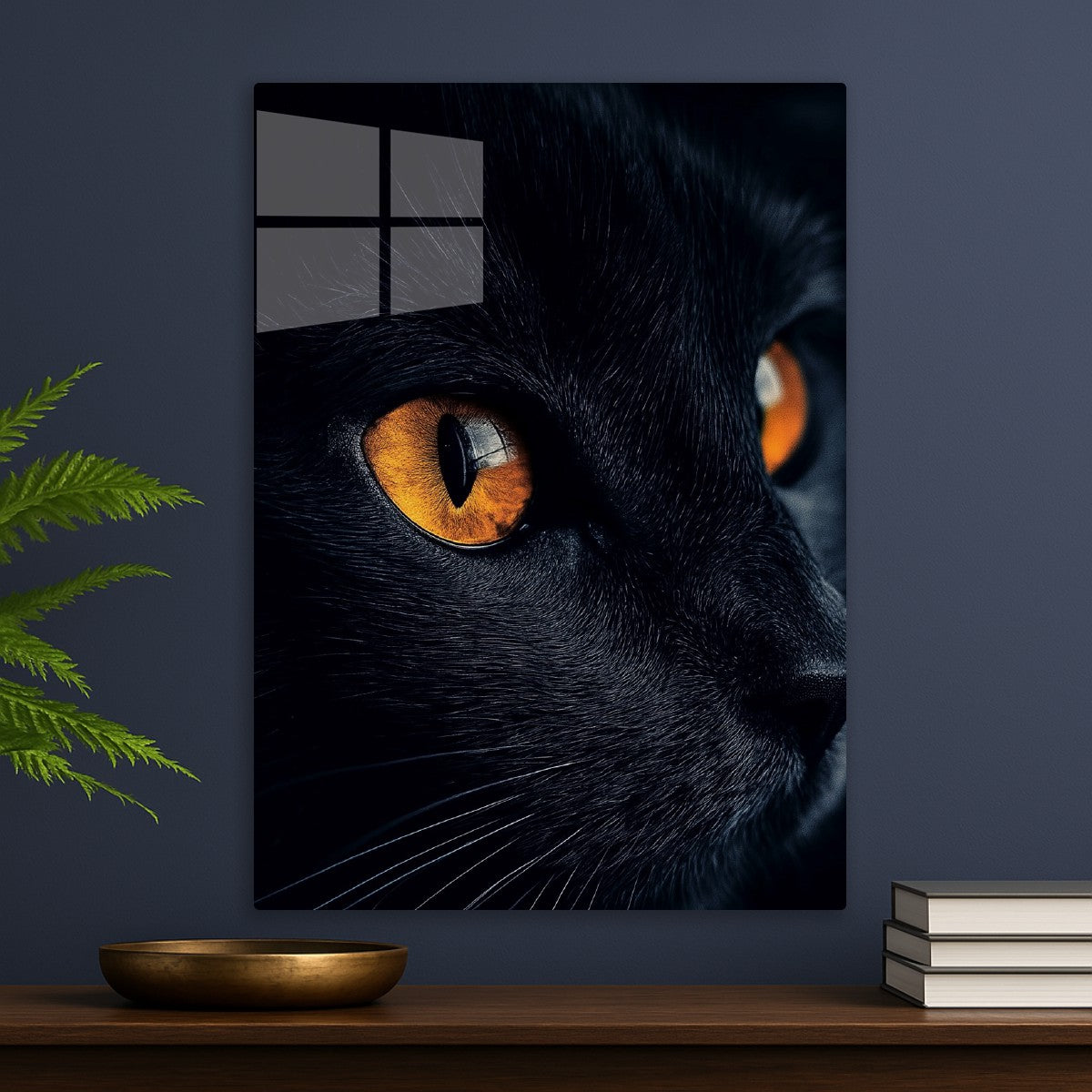 Black cat