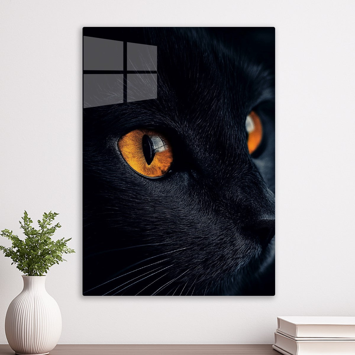 Black cat