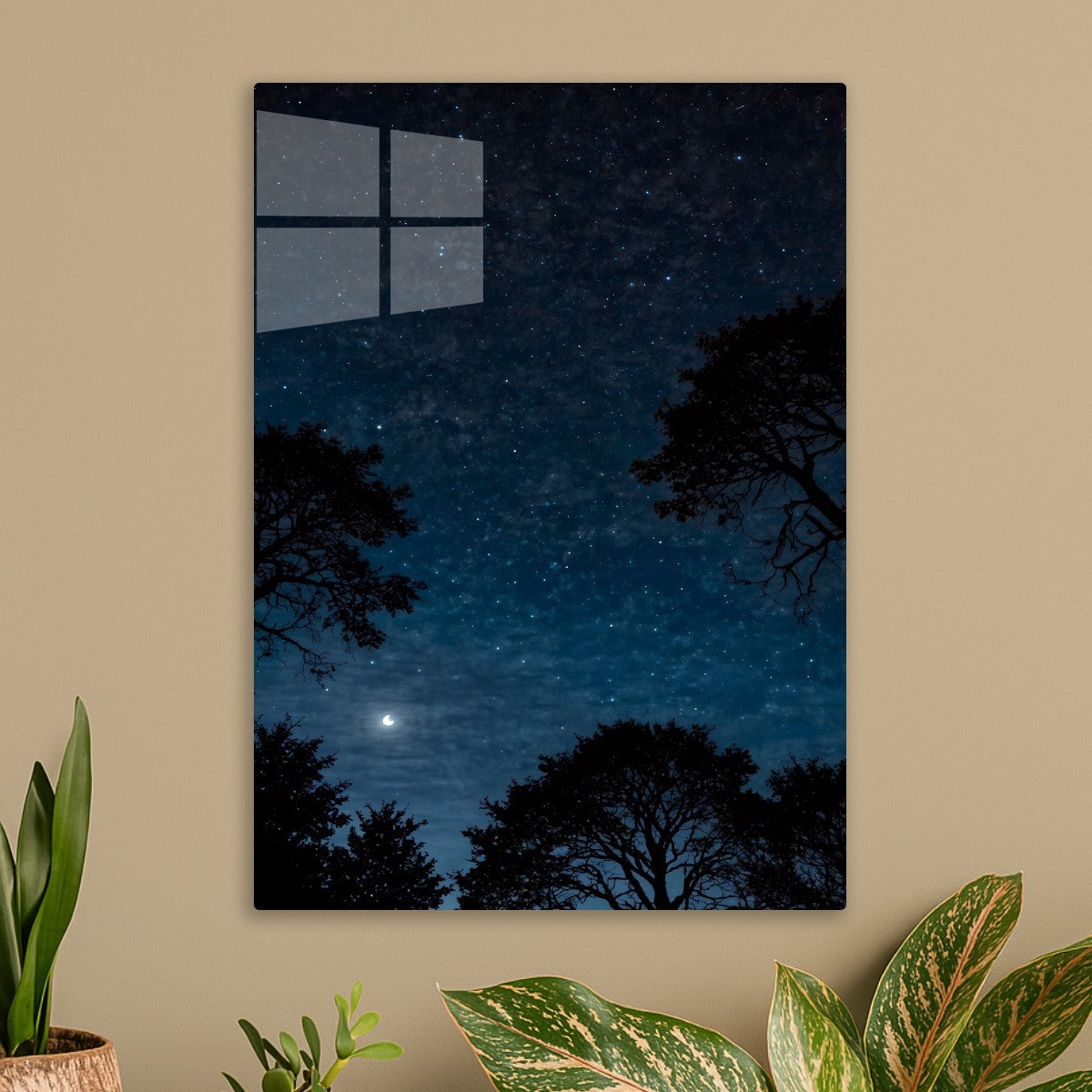 Magical Moon Nights
