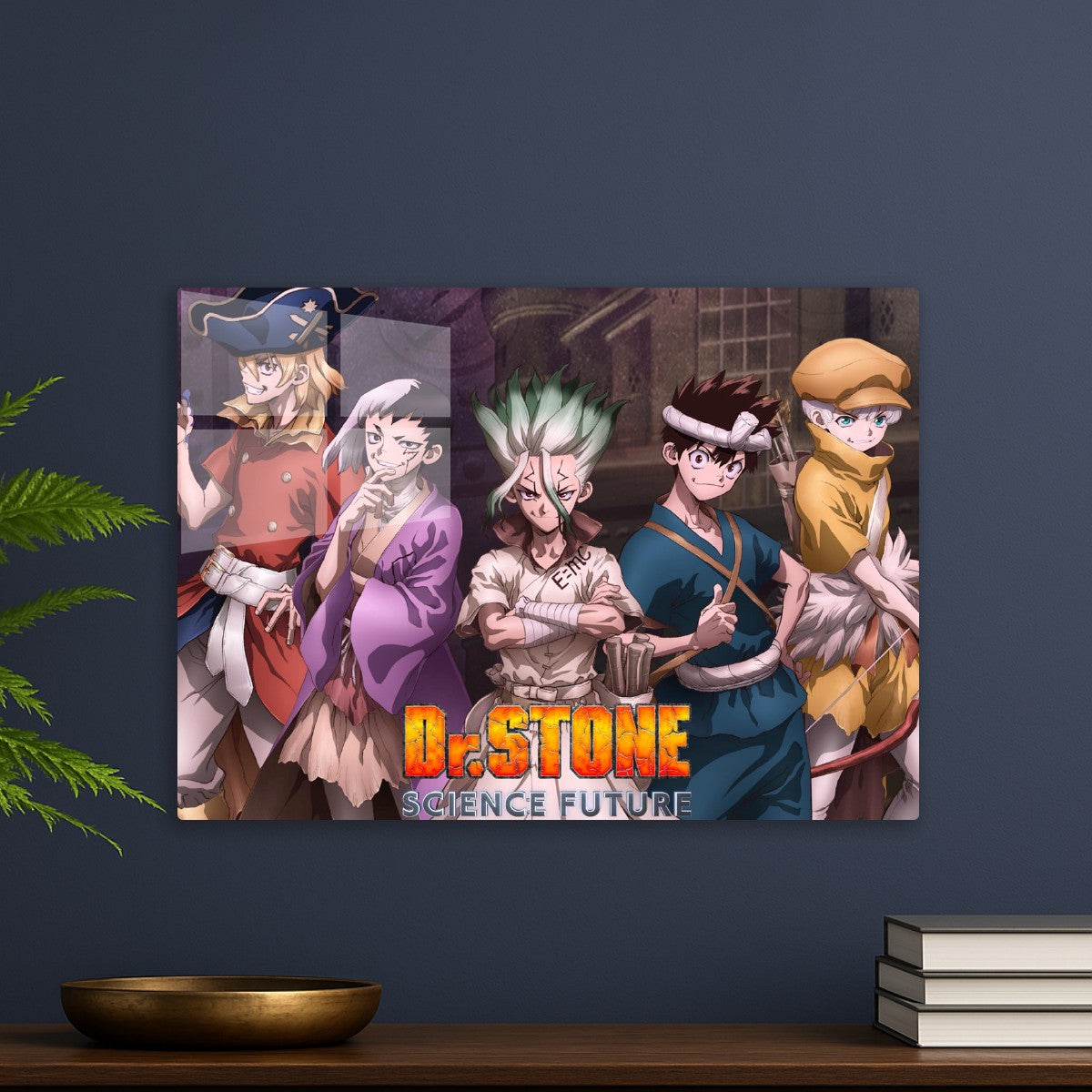 Dr stone 