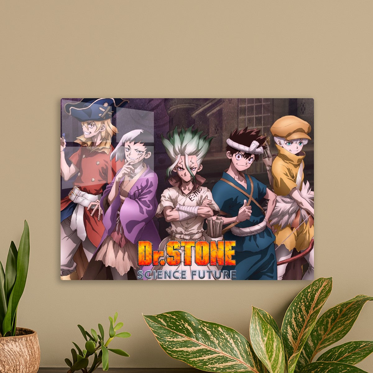 Dr stone 