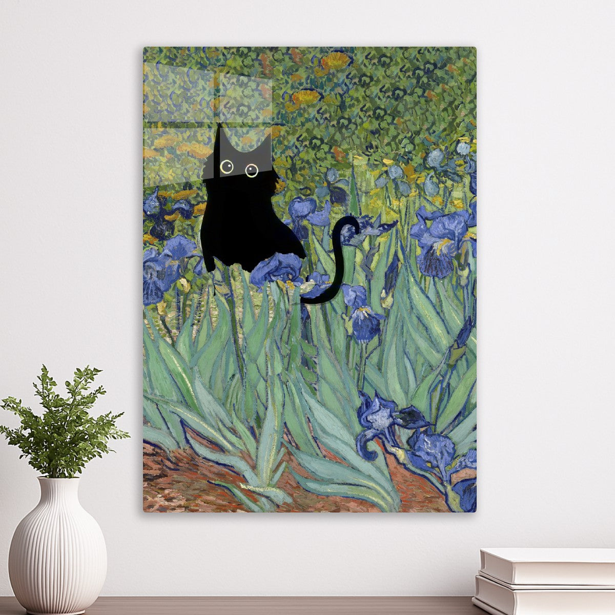Black Cat Irises Flower