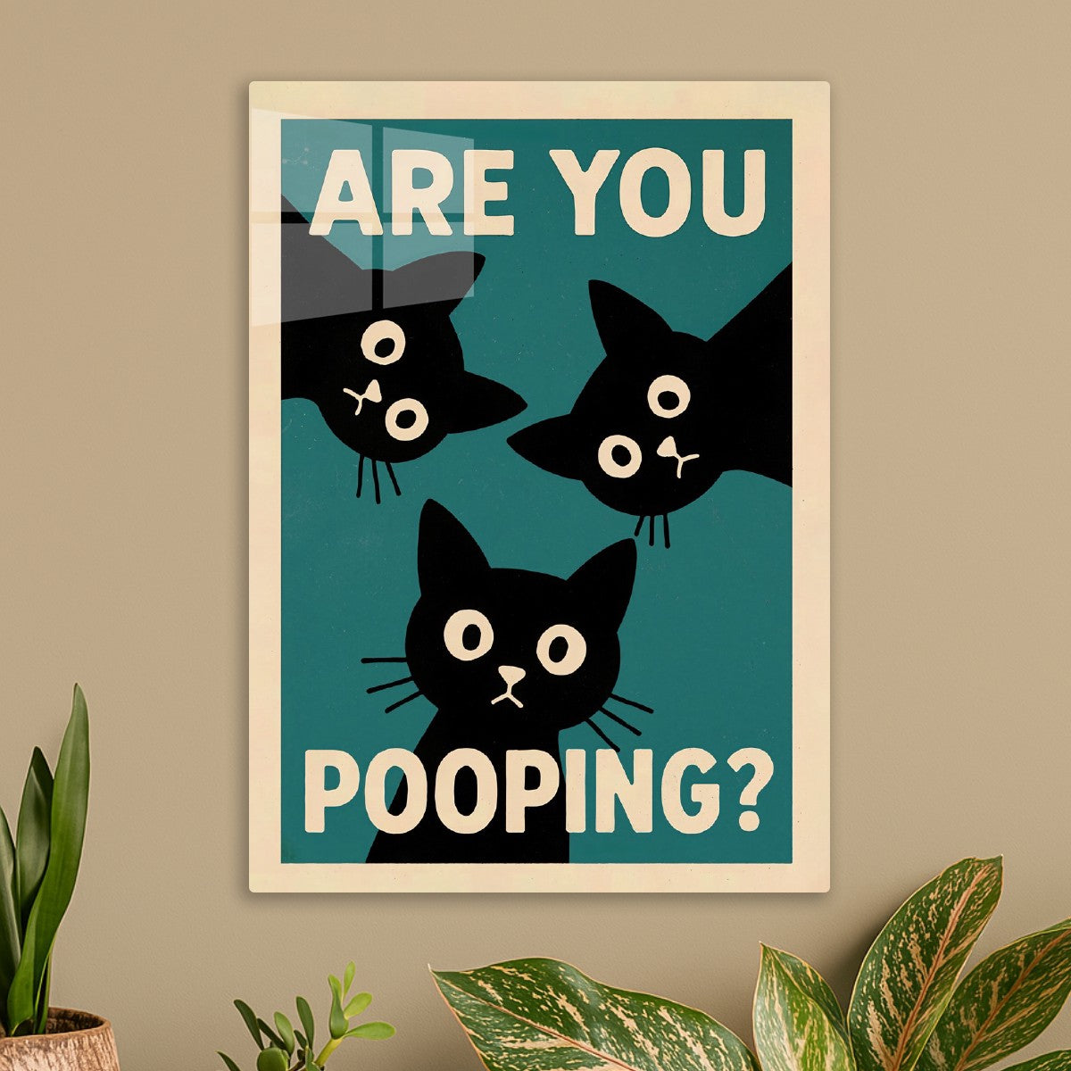 Pooping Cat