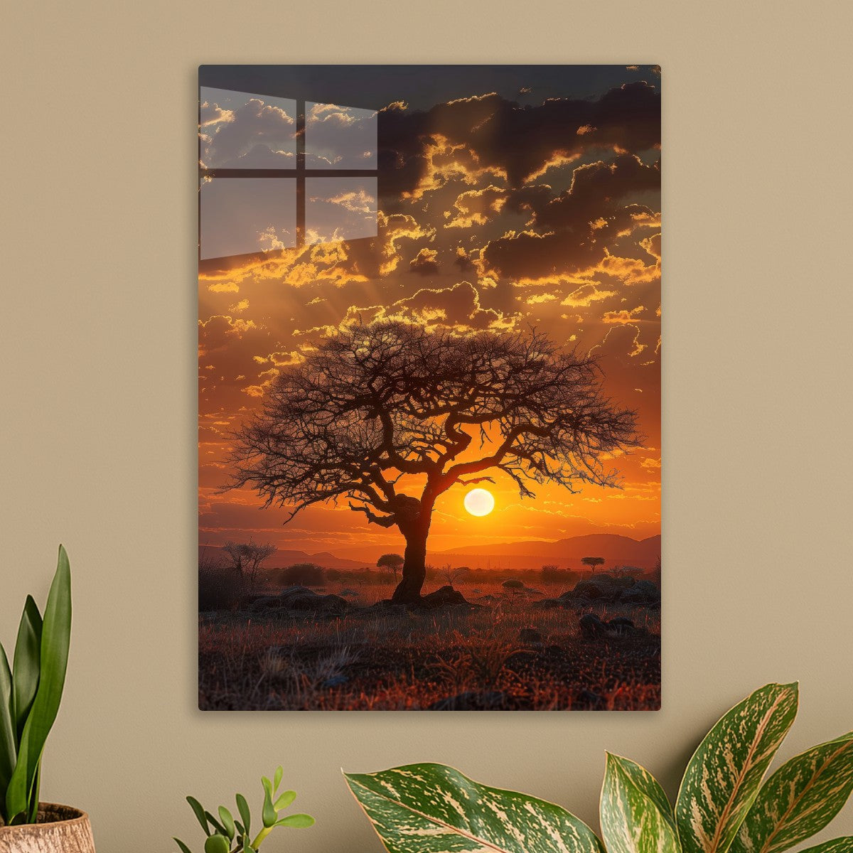 African Sunset Tree
