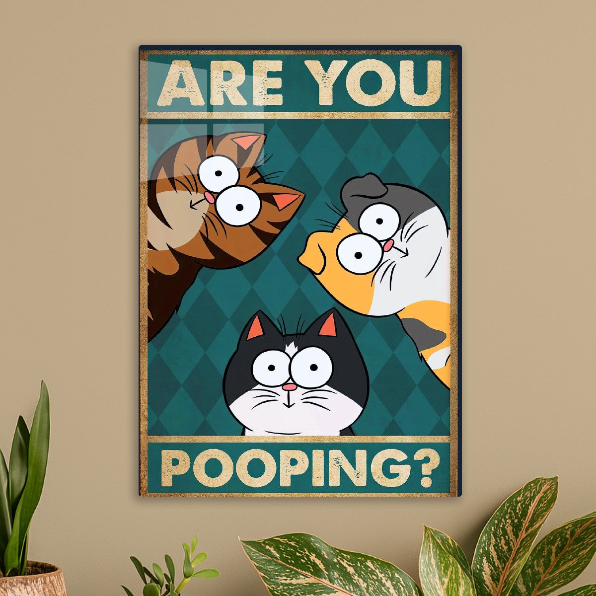 Fat cats are you pooping