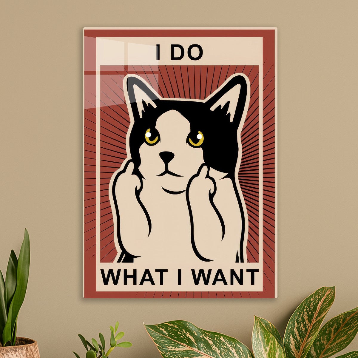 Funny meme cat