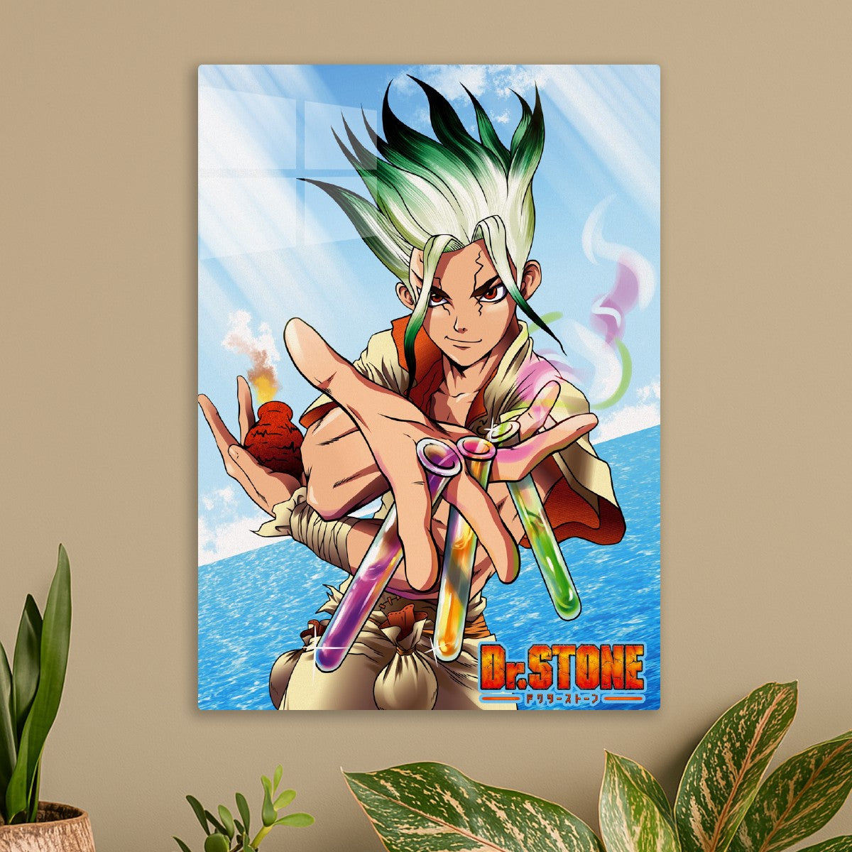 Dr Stone