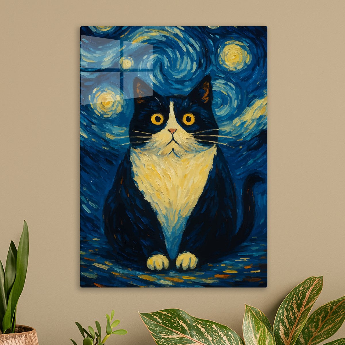 Cat starry night