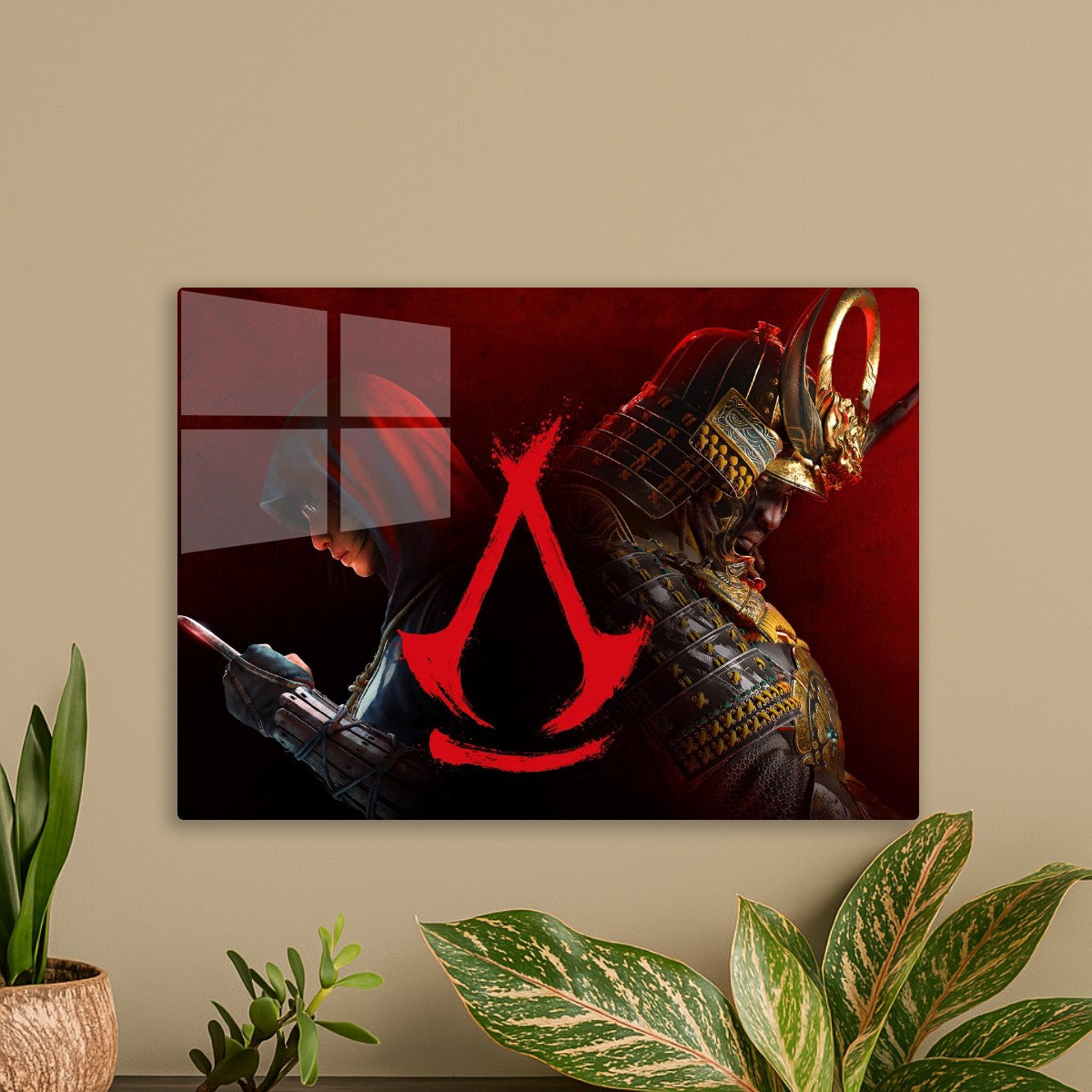Assassin creed 