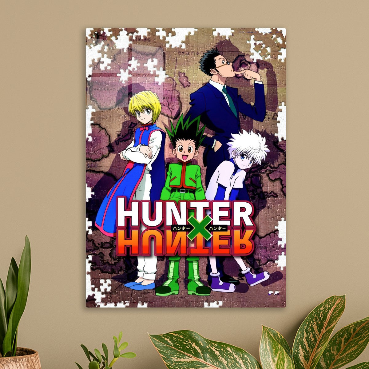 Hunter x hunter