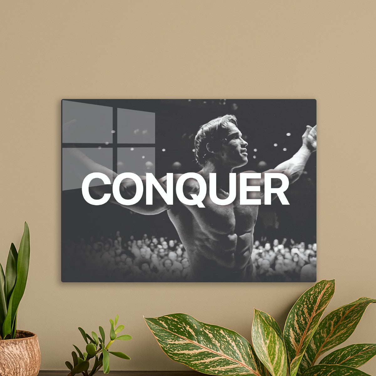 Arnold Schwarzenegger Conquer