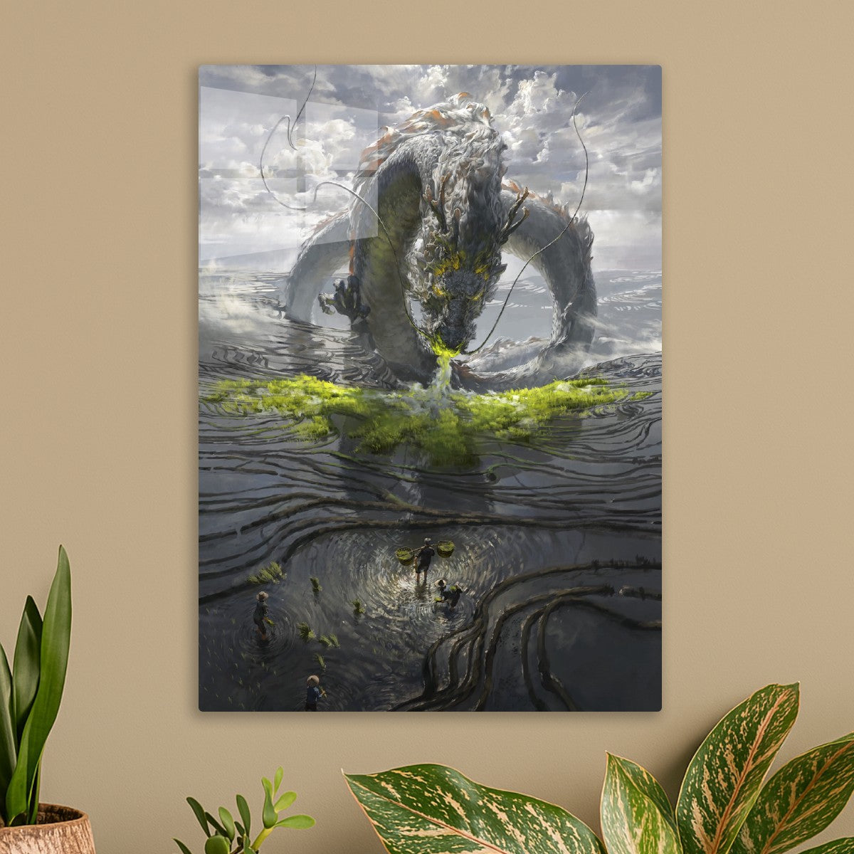 Dragon 