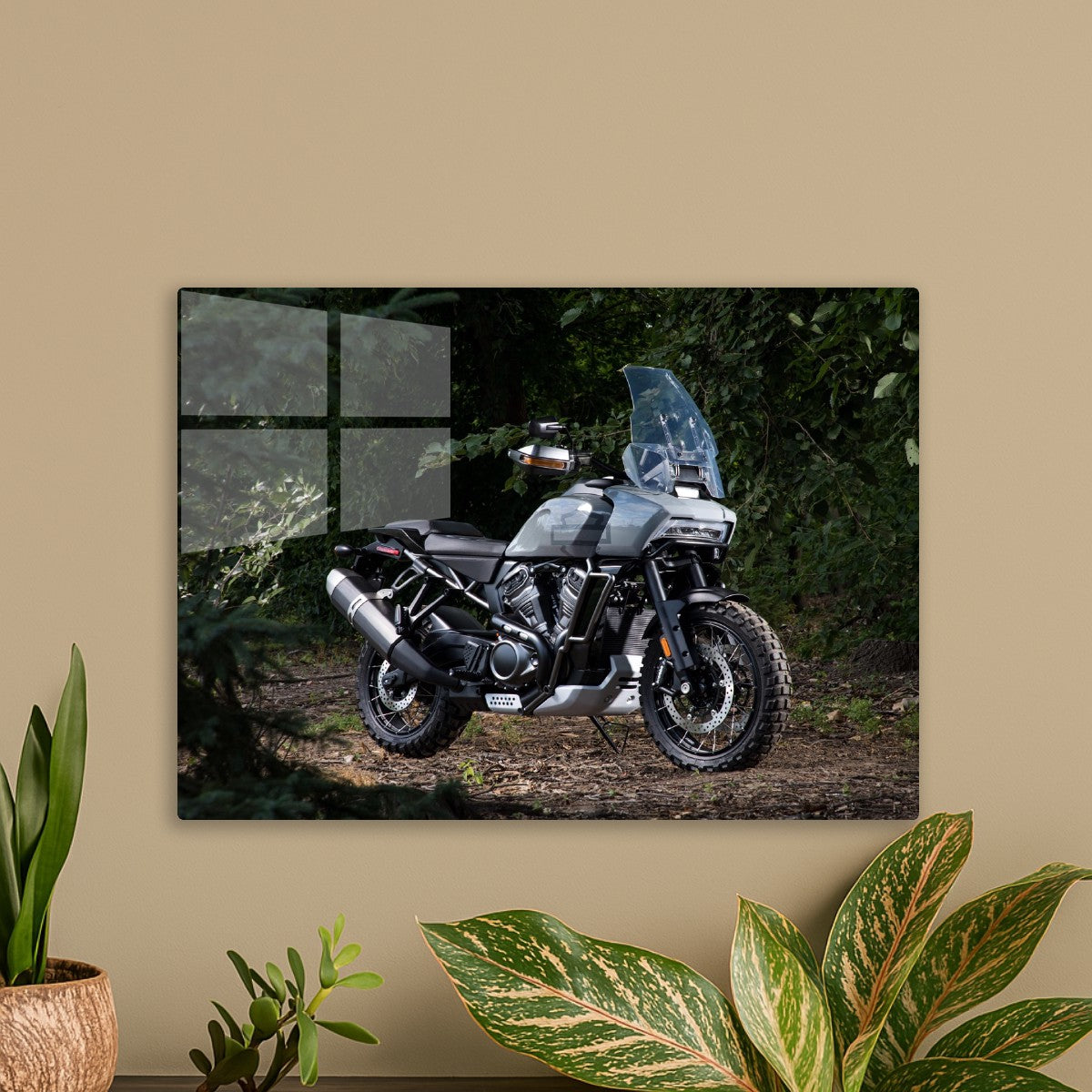 Triumph speed triple 1050