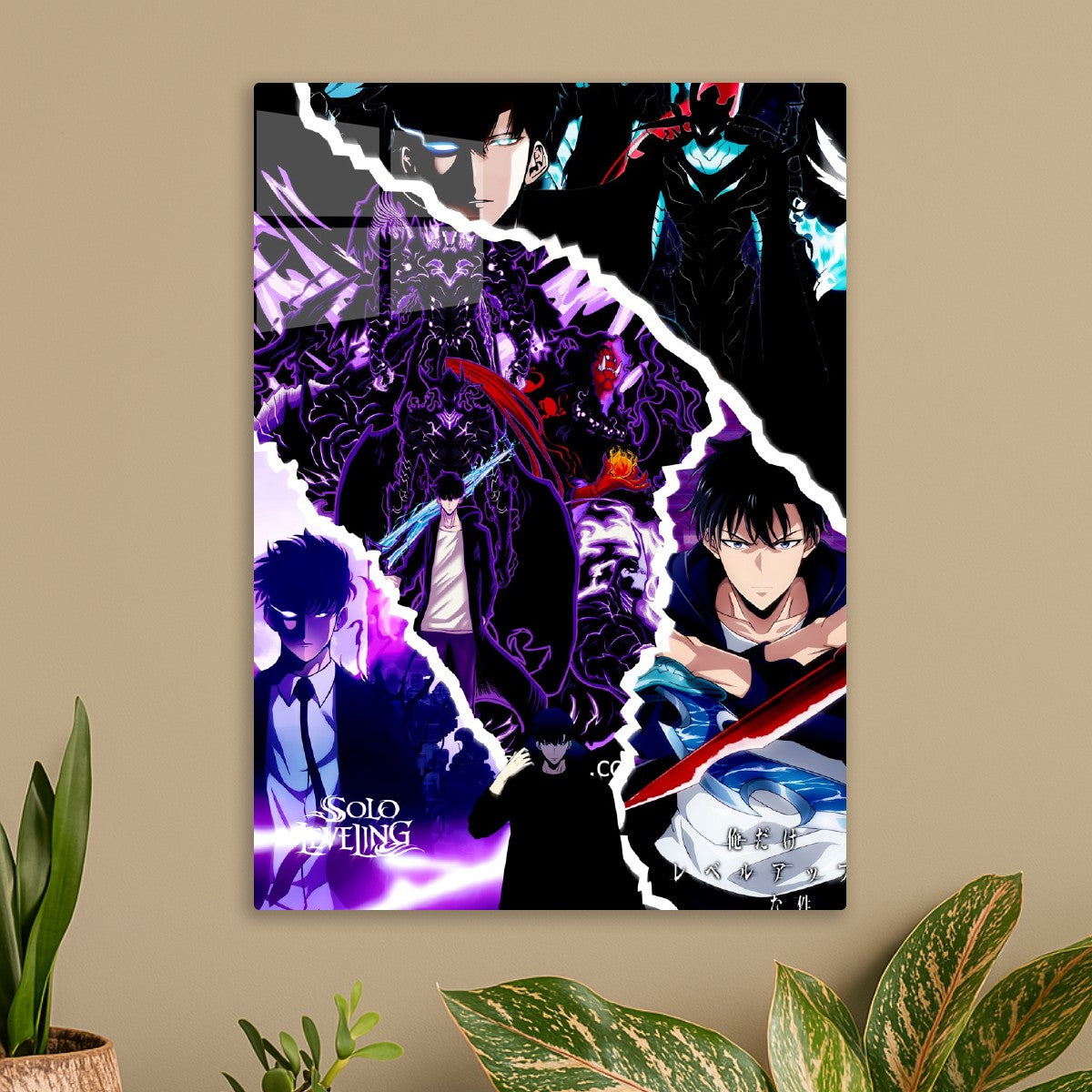 colage solo leveling