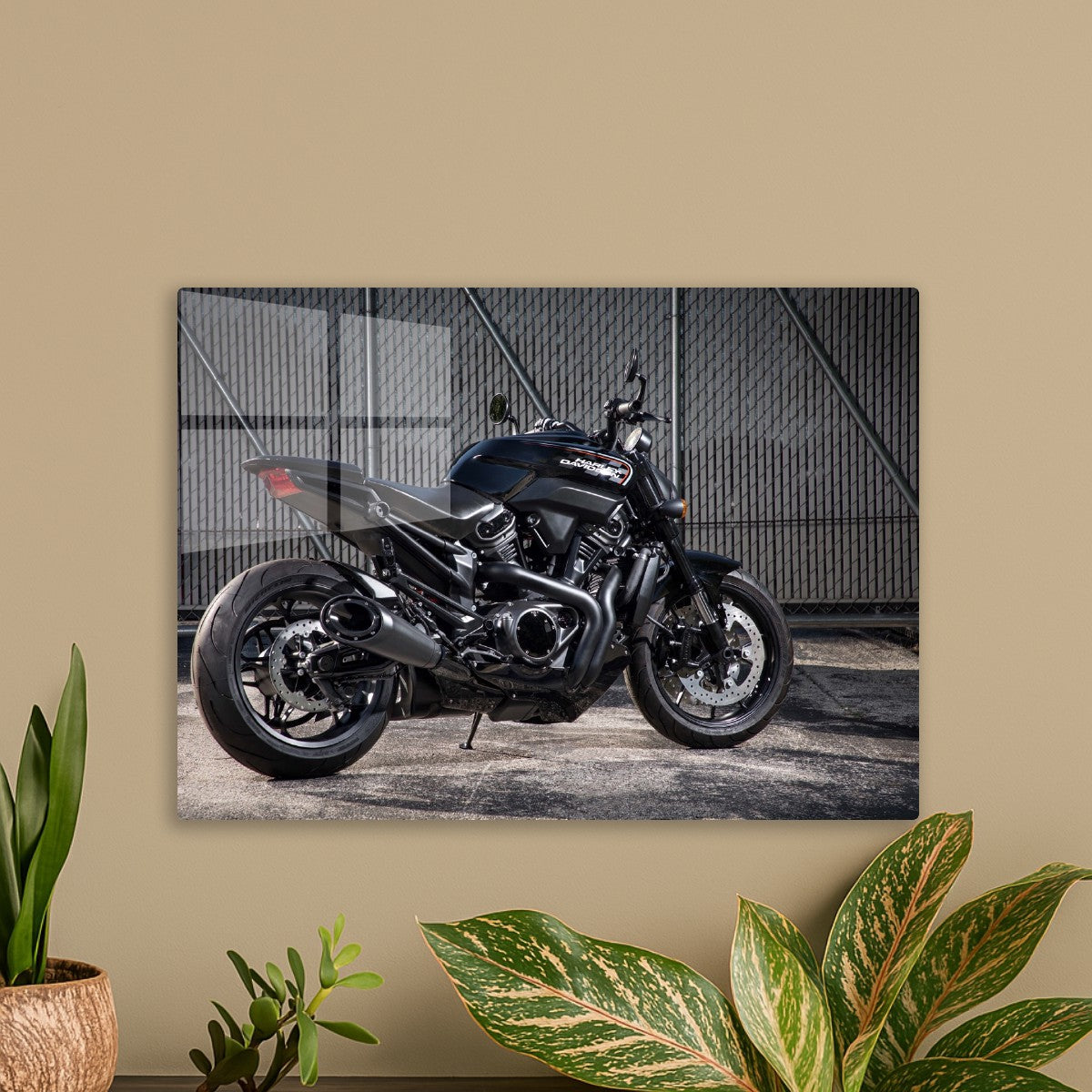 MV Agusta Australia 1000