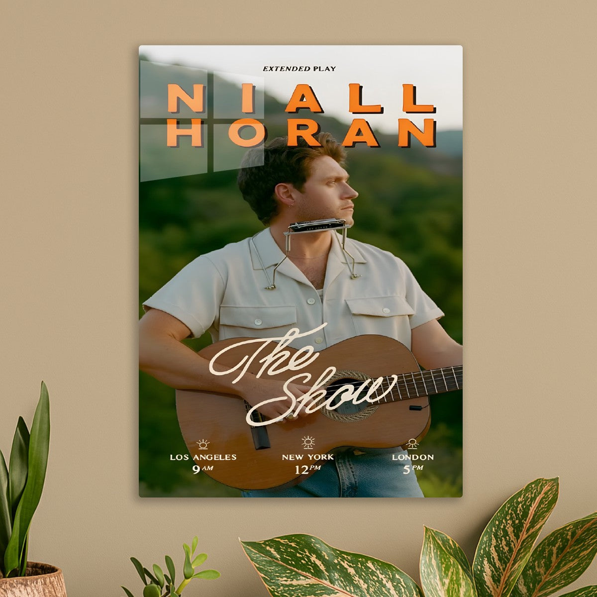 Niall Horan The Show Music