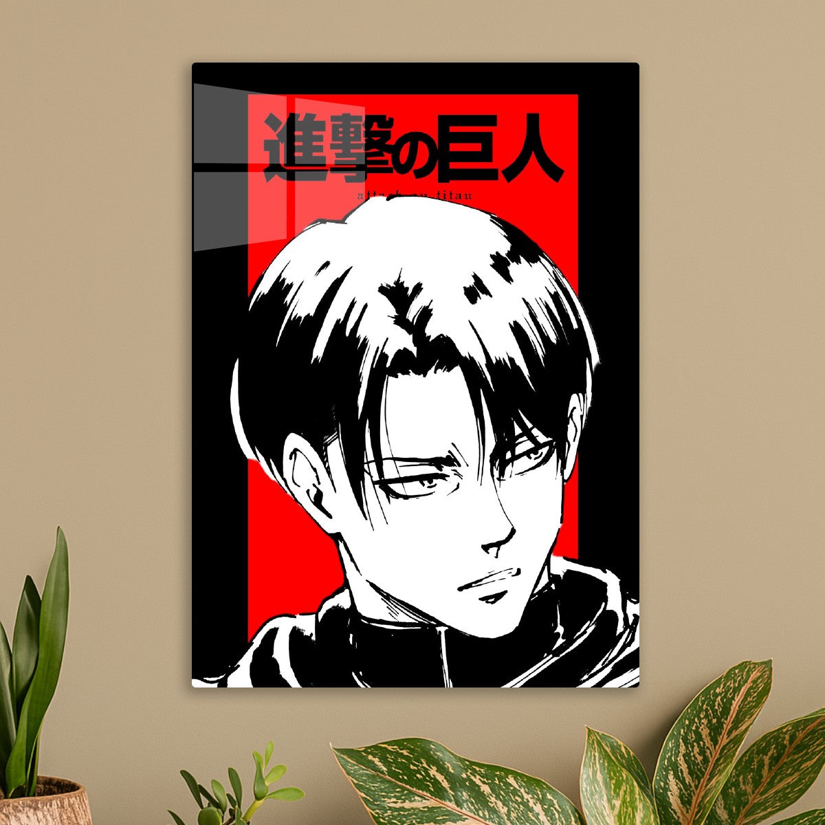 Levi Ackerman 