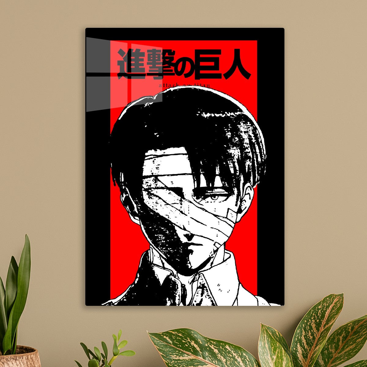 Levi Ackerman 