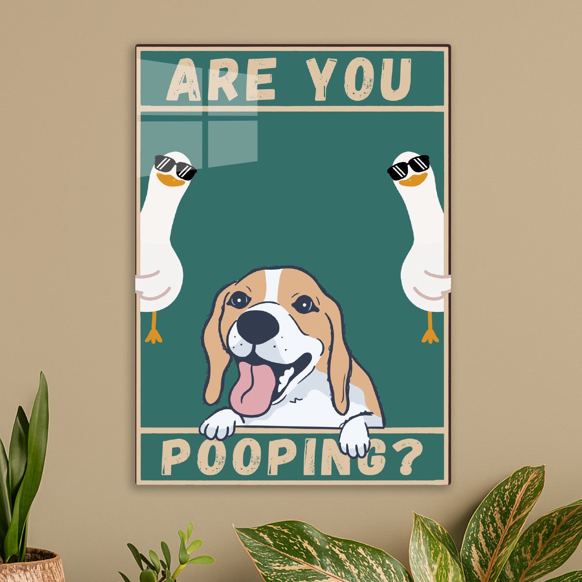 Dog and Duck are you pooping?