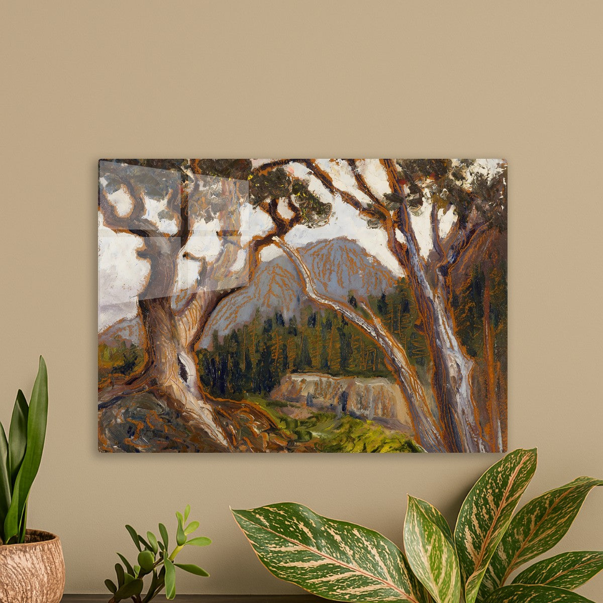 Long’s Peak from Loch Vale, Estes Park, Colorado (1926)