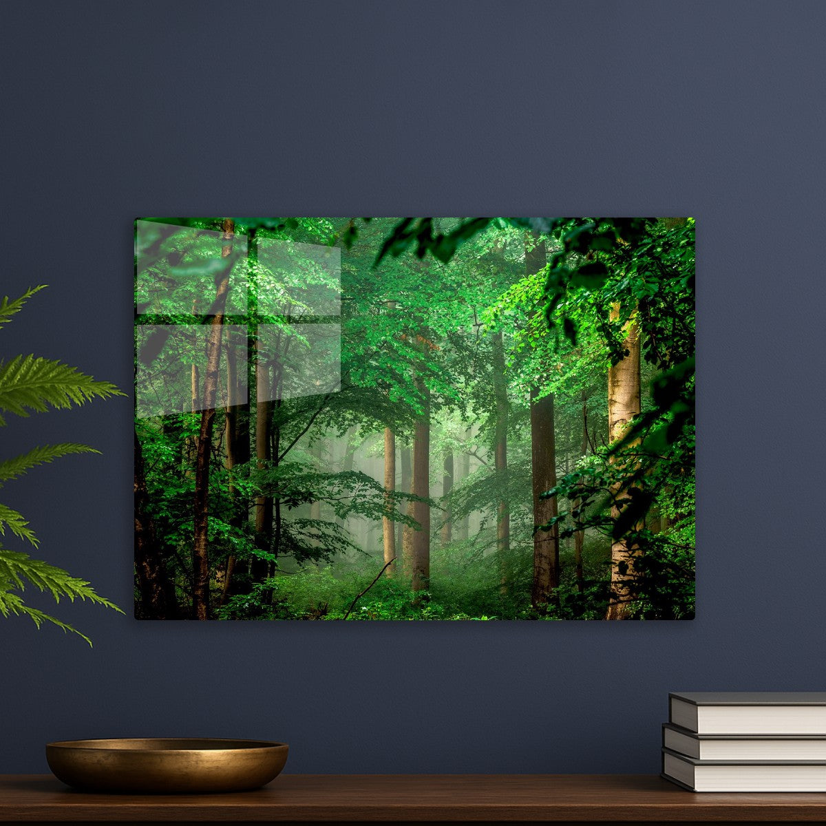 Forest nature trees