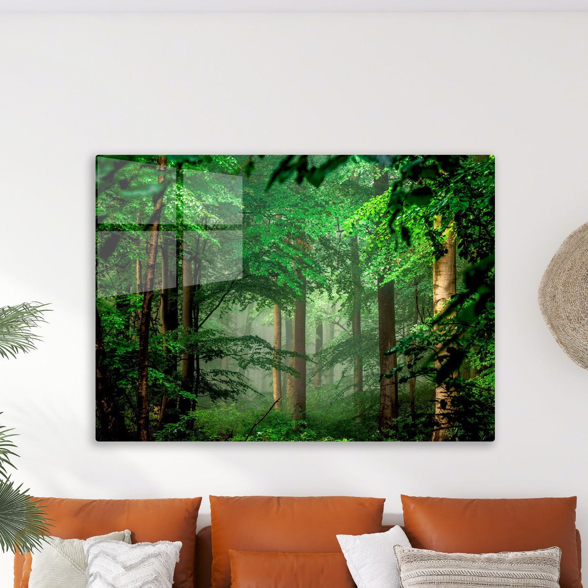 Forest nature trees